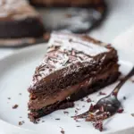 Melt in your mouth chocolate cake